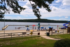 870-2017-fun-family-picnic-at-lake-tholocco